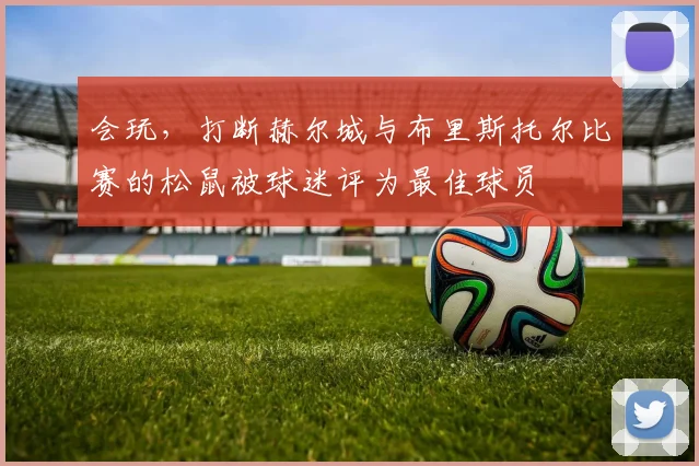 会玩，打断赫尔城与布里斯托尔比赛的松鼠被球迷评为最佳球员