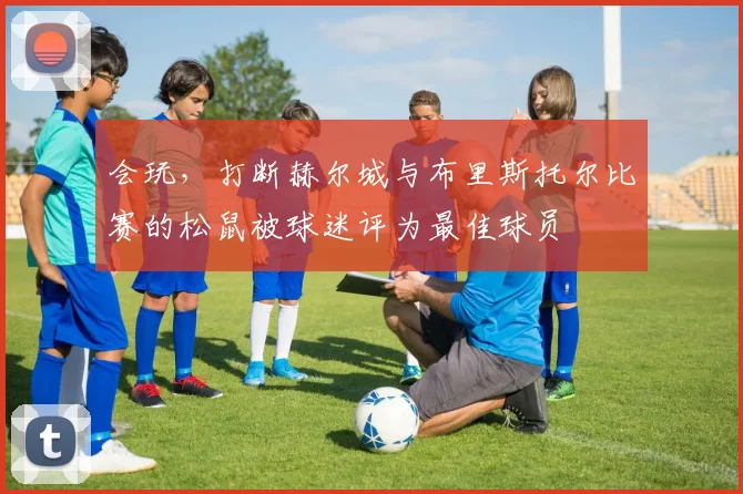 会玩，打断赫尔城与布里斯托尔比赛的松鼠被球迷评为最佳球员