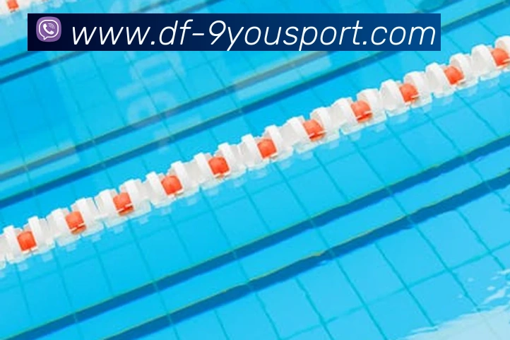 九游官网APP 封面图